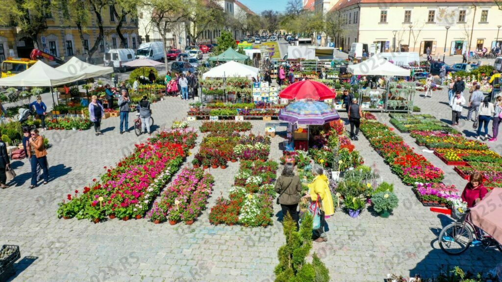 Festival cveća - Sombor