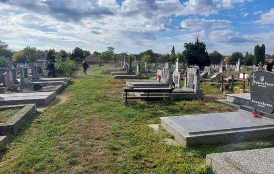 JKP Prostor - košenje groblja 