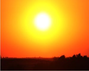 sunce