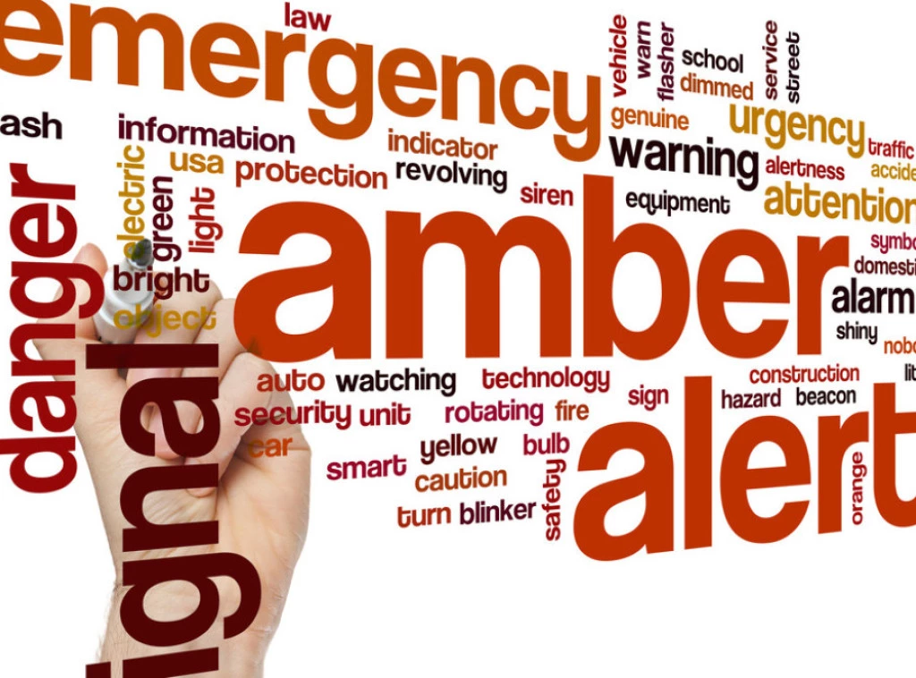 Vlada usvojila zaključak da je Amber Alert od značaja za javni interes