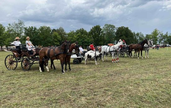 Fijakerijada „Konji naši razigrani“ oduševila goste Doroslova 
