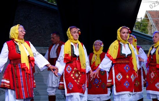 Selo bačkih Vranjanaca – čuvari juga u srcu Vojvodine 3