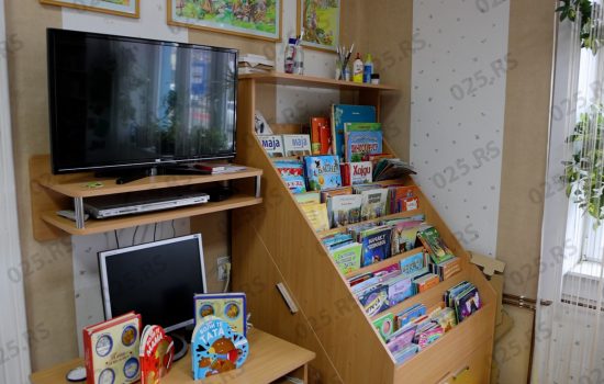 Dečije odeljenje Biblioteke u Odžacima – mesto usvajanja kulturnih obrazaca 1