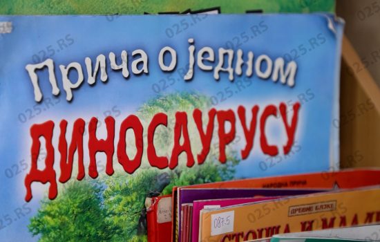 Dečije odeljenje Biblioteke u Odžacima – mesto usvajanja kulturnih obrazaca 6