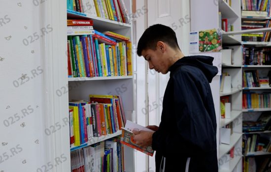 Dečije odeljenje Biblioteke u Odžacima – mesto usvajanja kulturnih obrazaca 7