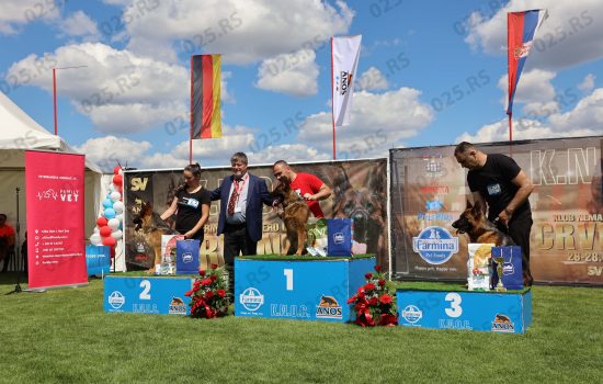  Crvenačka izložba pasa oborila balkanski rekord