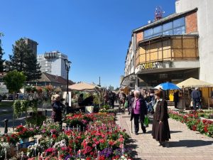 Kula: Održan Prolećni festival cveća