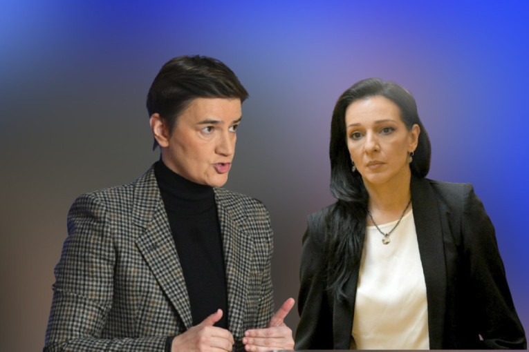 Tepić i Brnabić