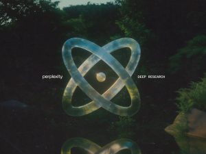 Perplexity