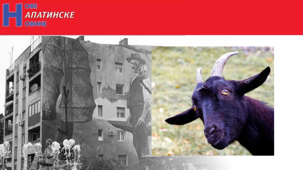 nove apatinske novine-odgovor
