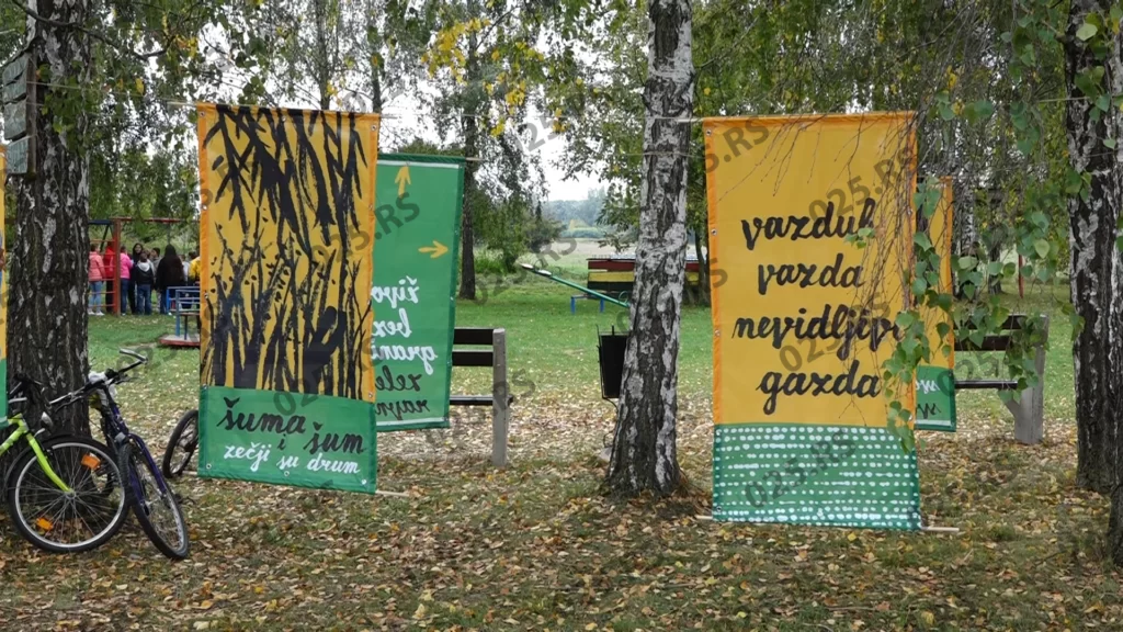 Šuma i šum