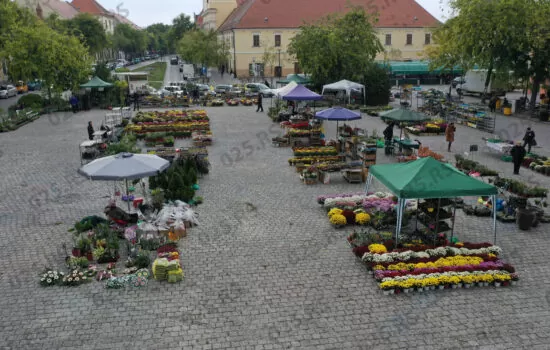 izlagači