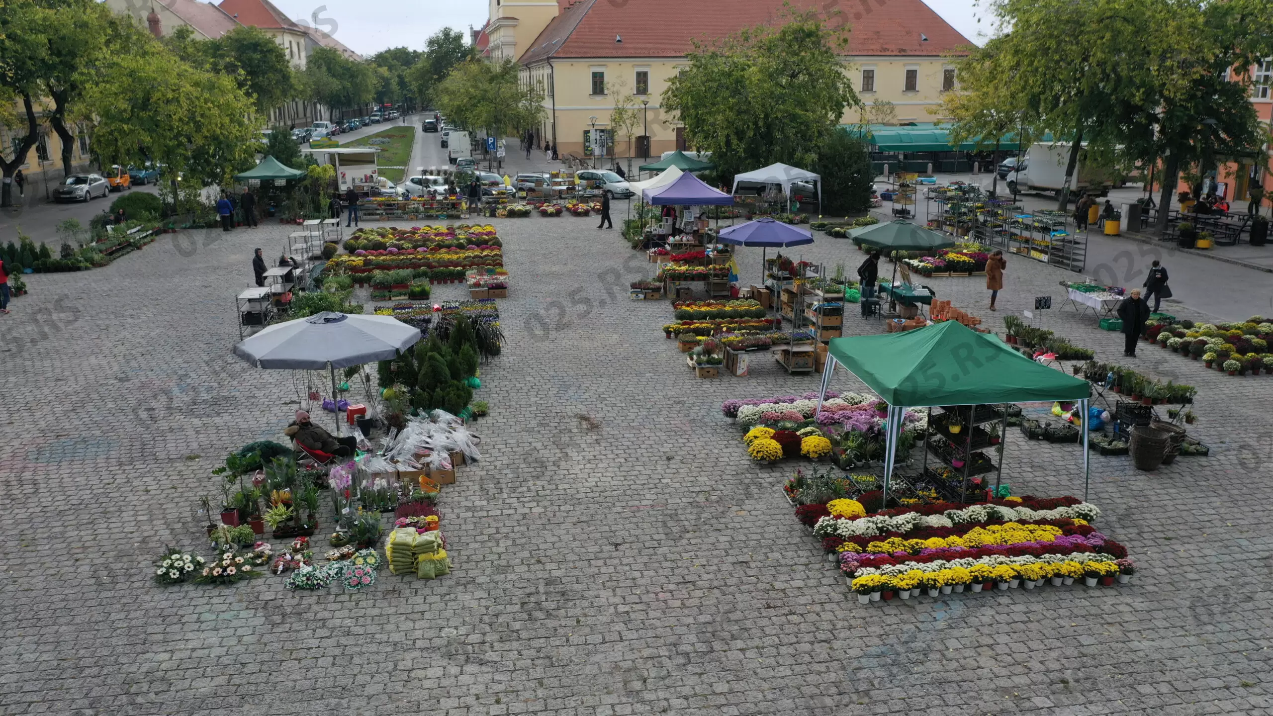 izlagači