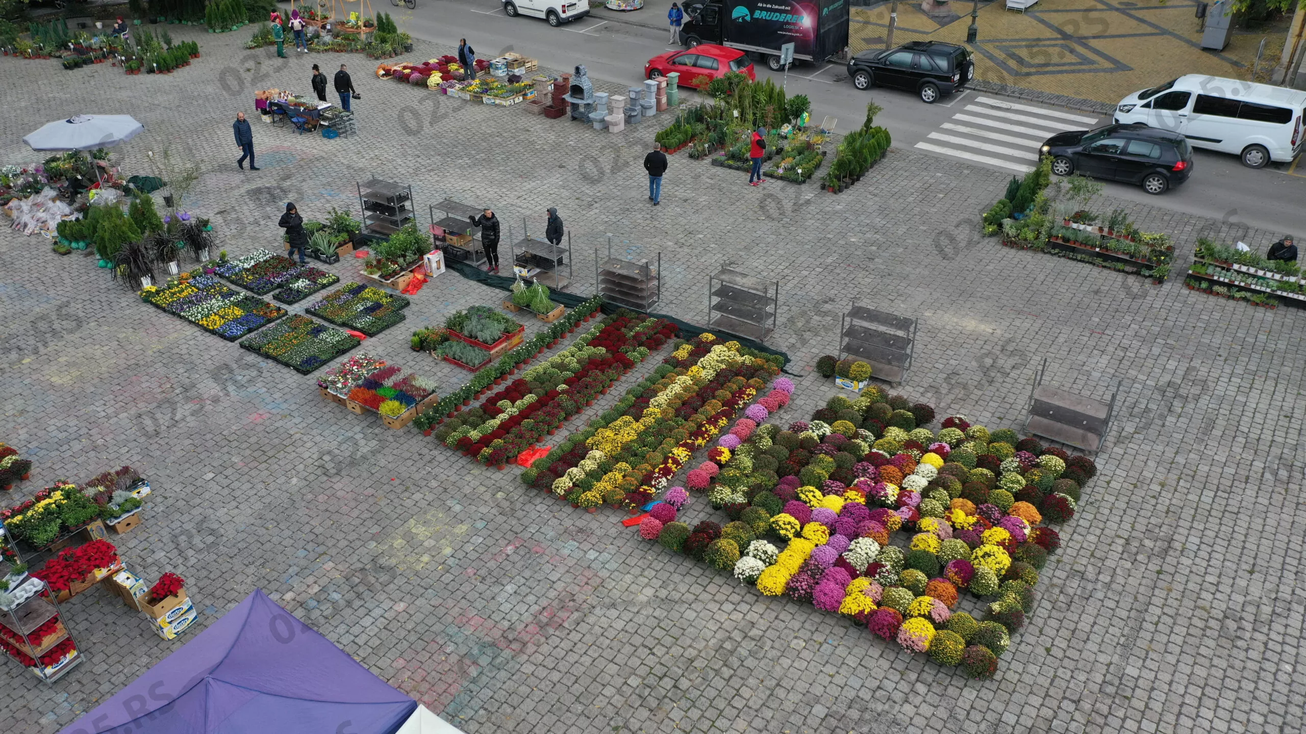 izlagači na sajmu cveća