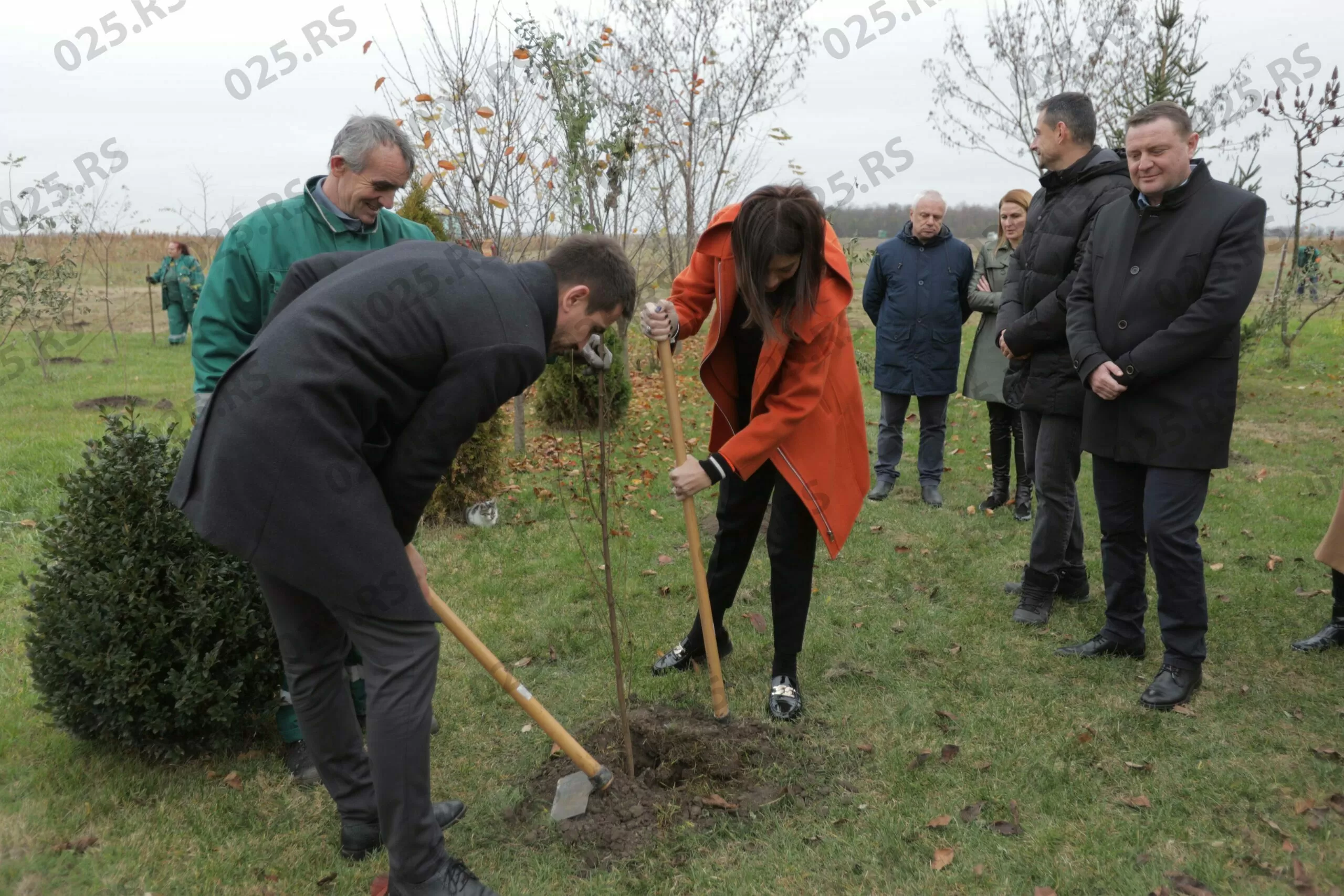 Sadnja u Miletiću