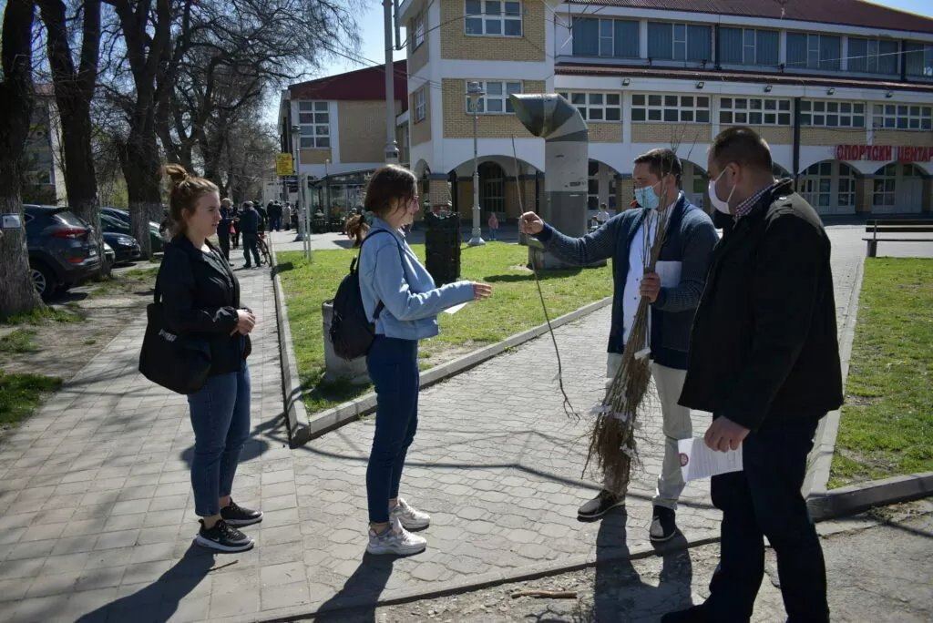 Podela sadnica