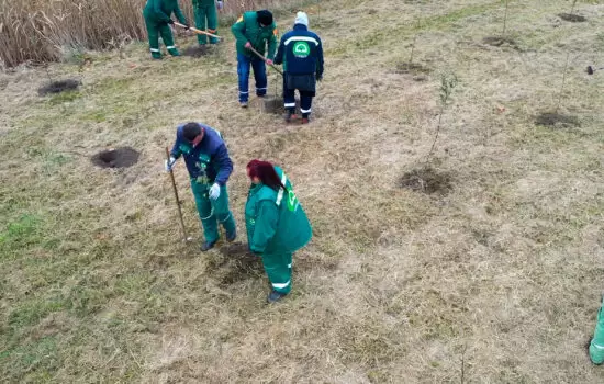 Poslovi sadnje