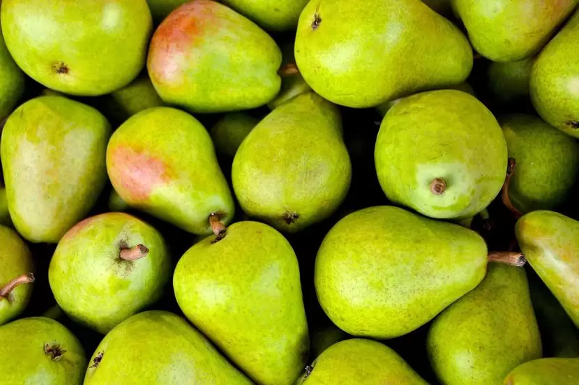 Kruške