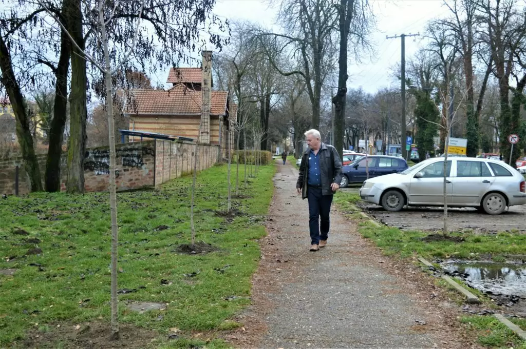 Ozelenjavanje