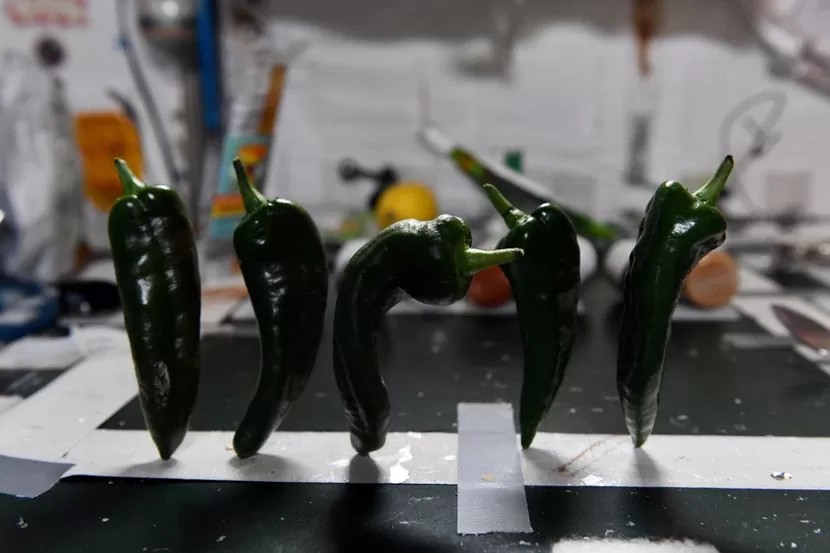 Paprika