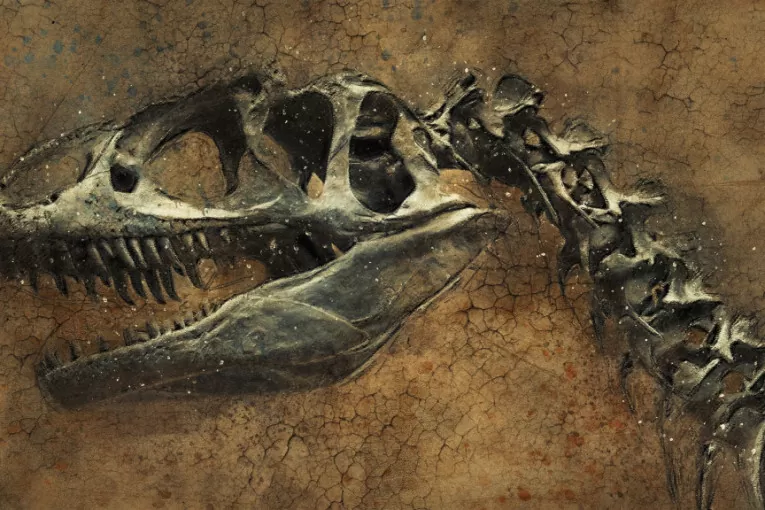 Dinosaurus