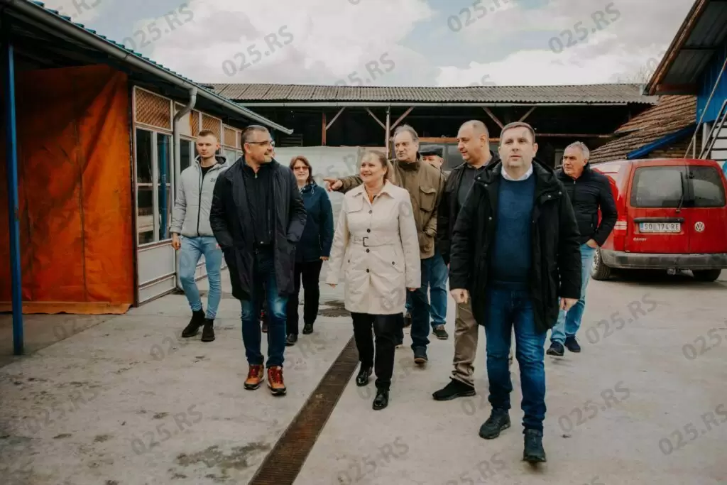 Božić i Nedmović