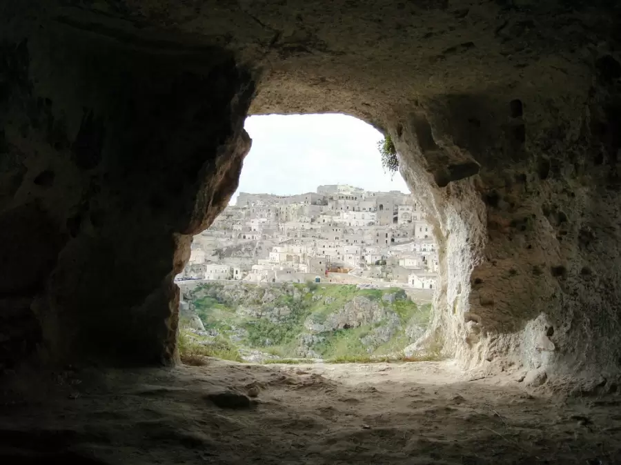 Pogled