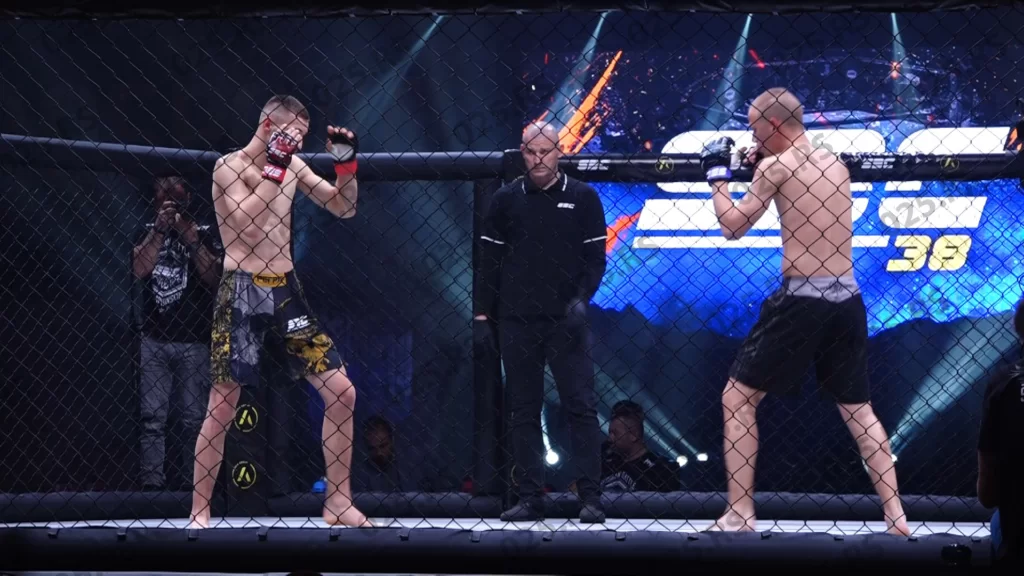 Borba MMA