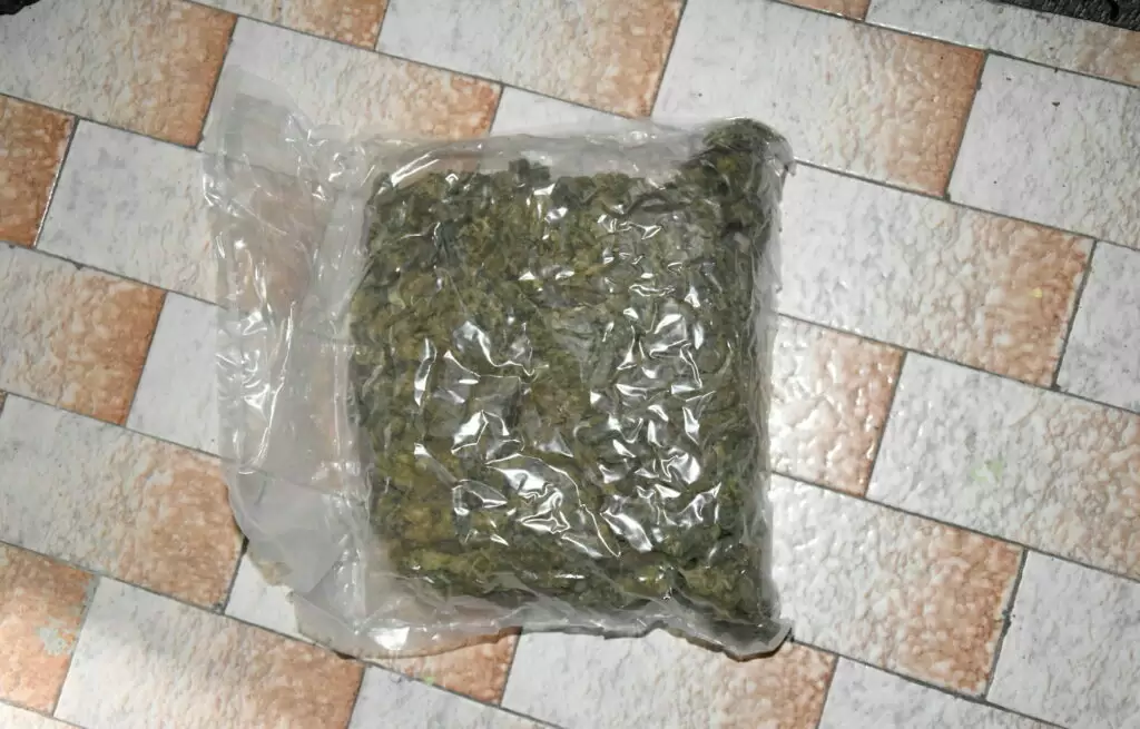 Kesica