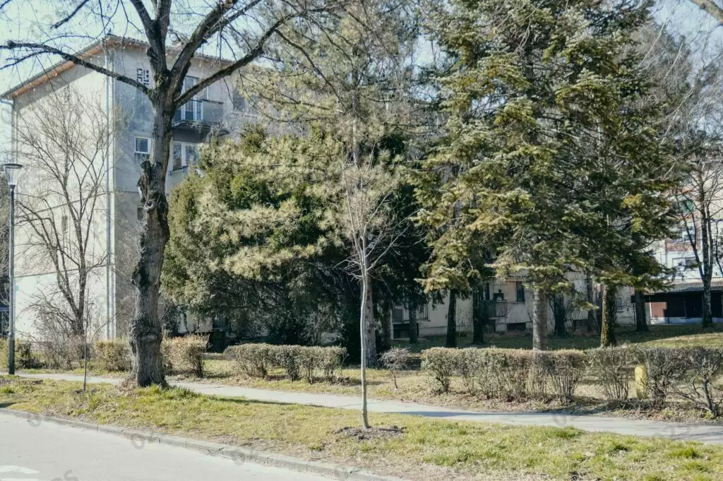 Ozelenjavanje