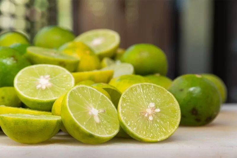 Limeta