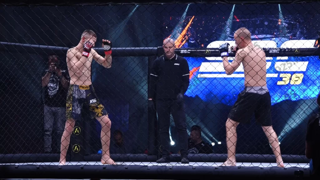 Borba MMA