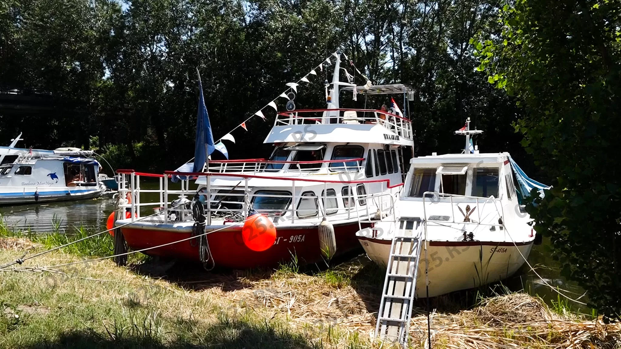 Sombor - regata
