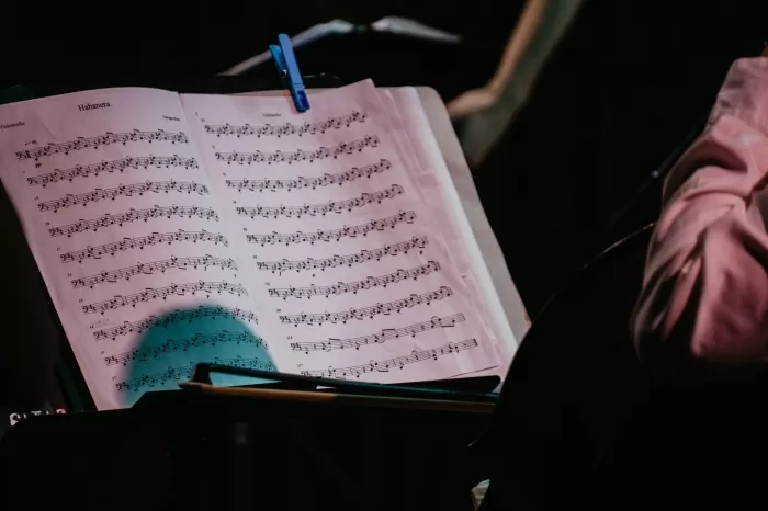 Muzička škola Petar Konjović