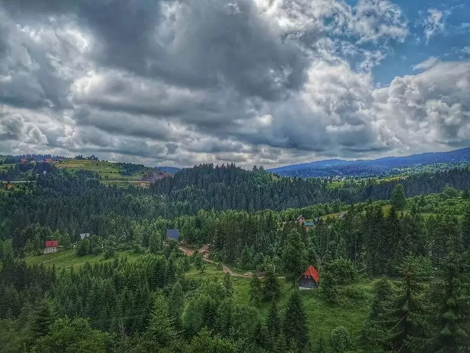 Planina - Zlatar