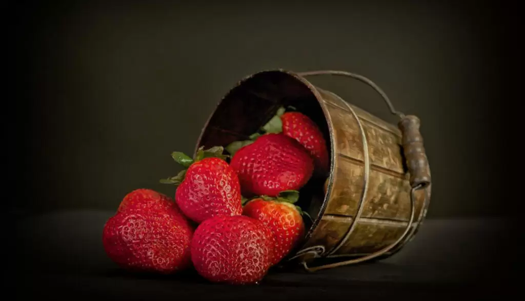 Jagode