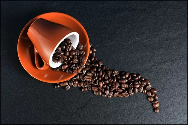 Kafa
