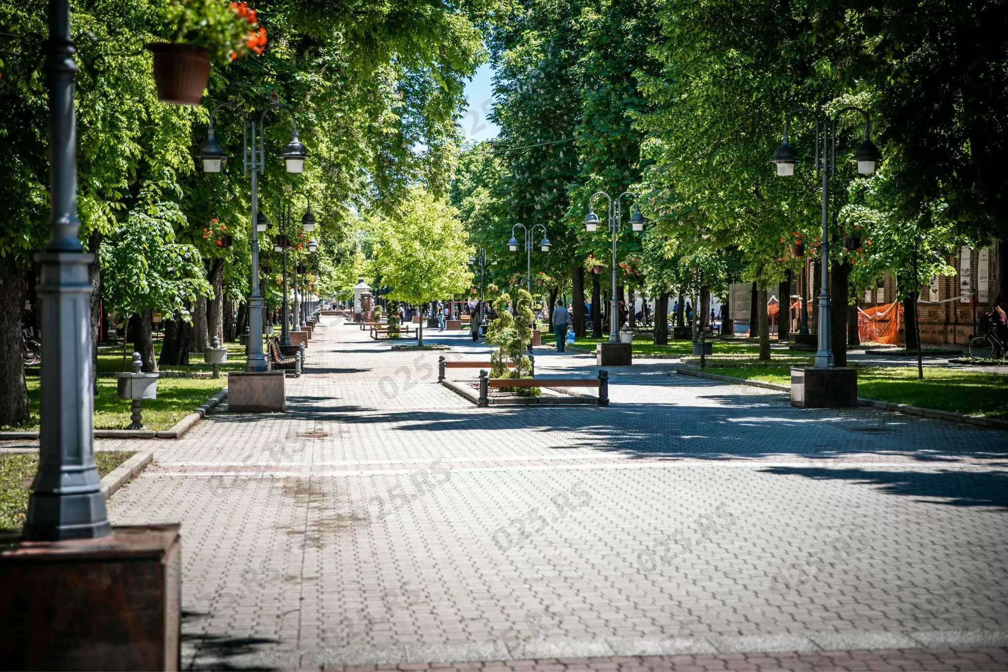 Apatin - Glavna ulica