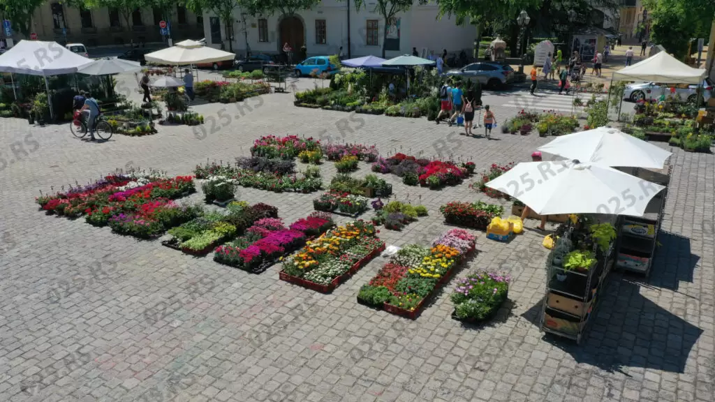 Cvetna pijaca Sombor