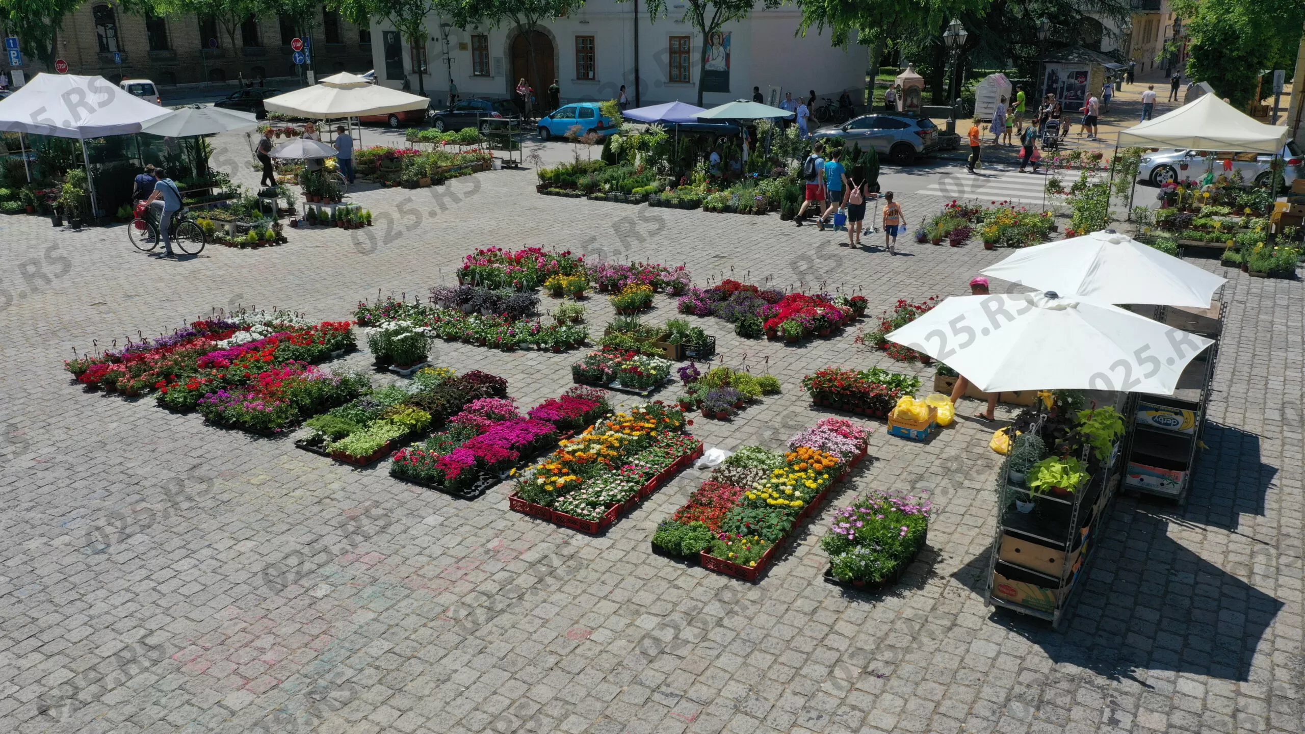 Cvetna pijaca Sombor
