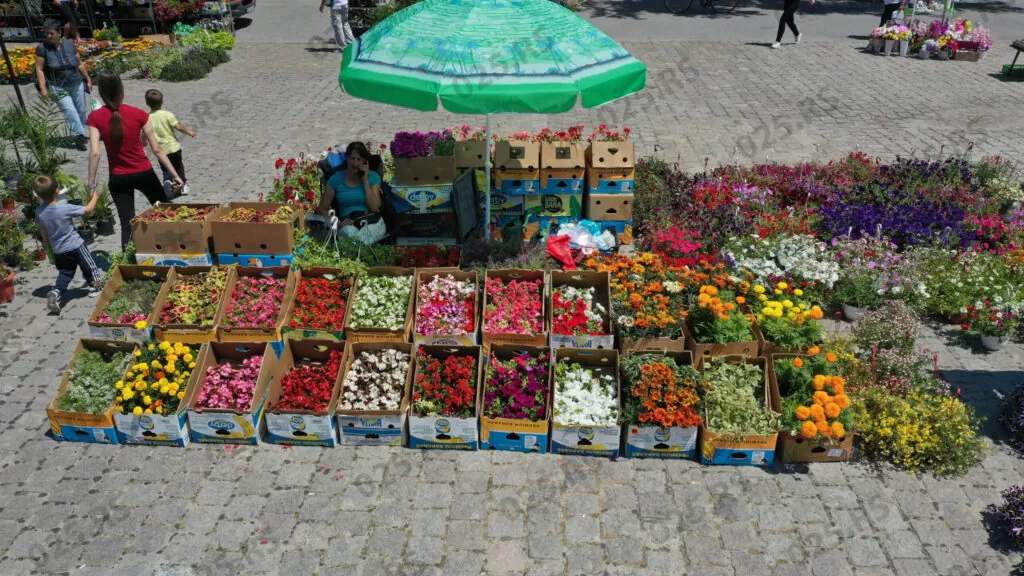 Sombor - cvetna pijaca