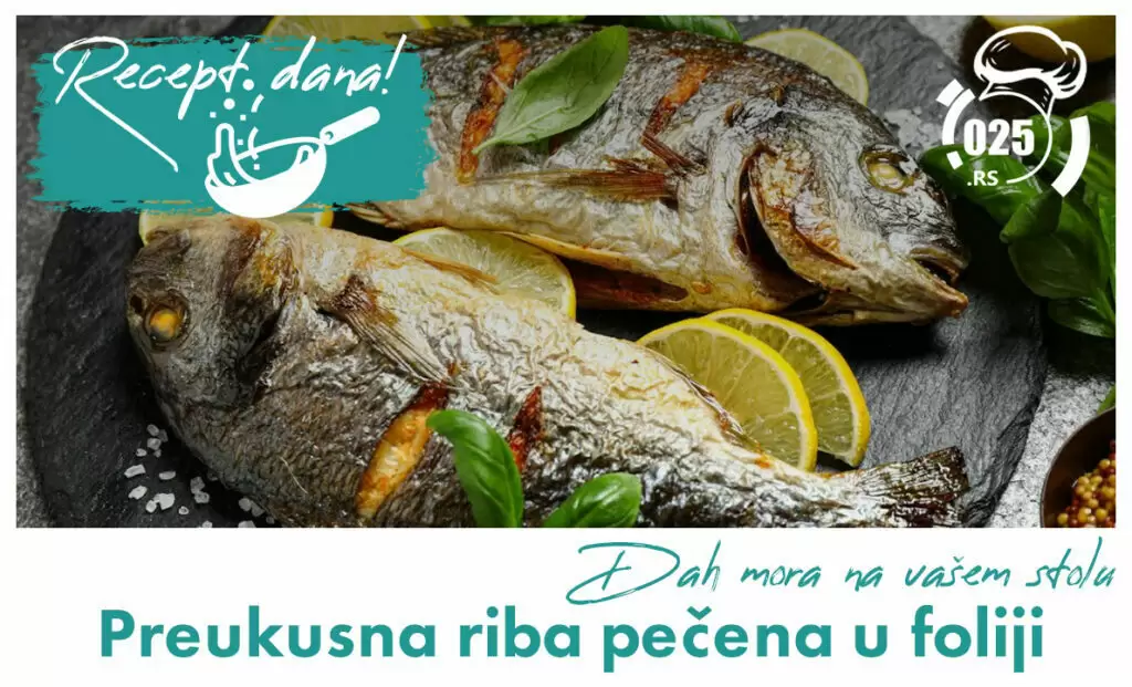 Recept - riba