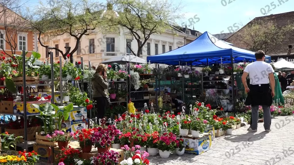 Festival cveća - izložbeni prostor