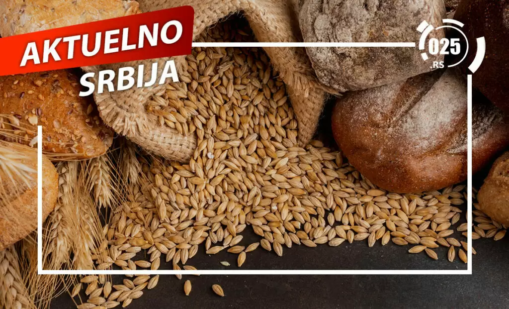 aktuelno - psenica