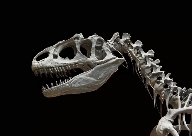 Dinosaurus