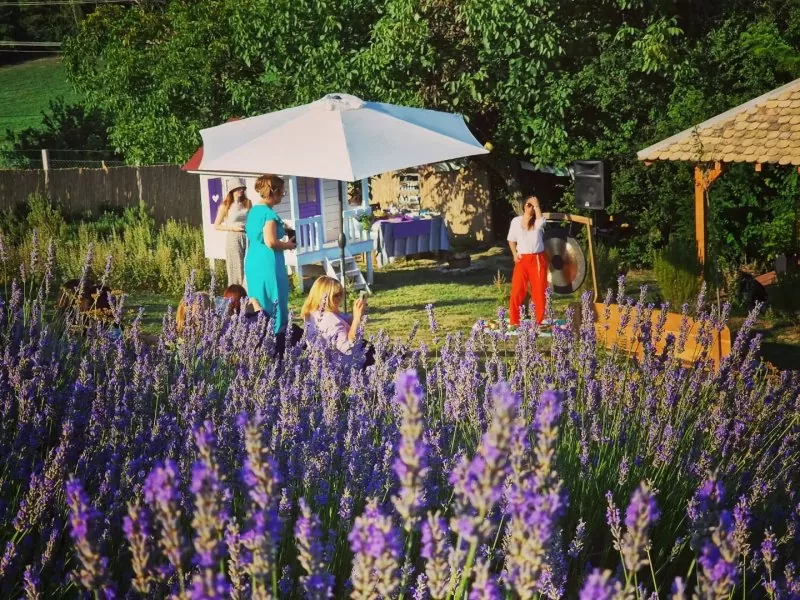 Kula - lavanda festival