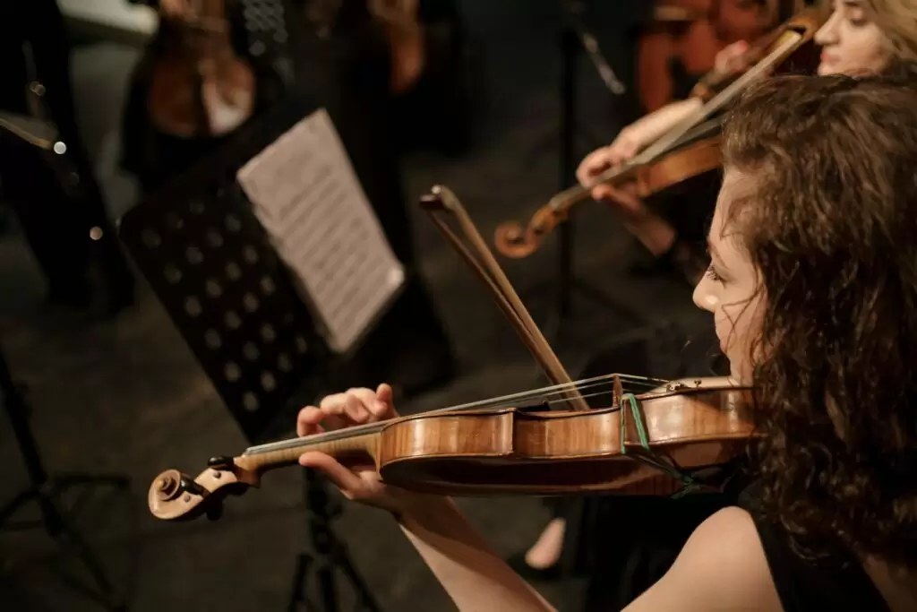 violina