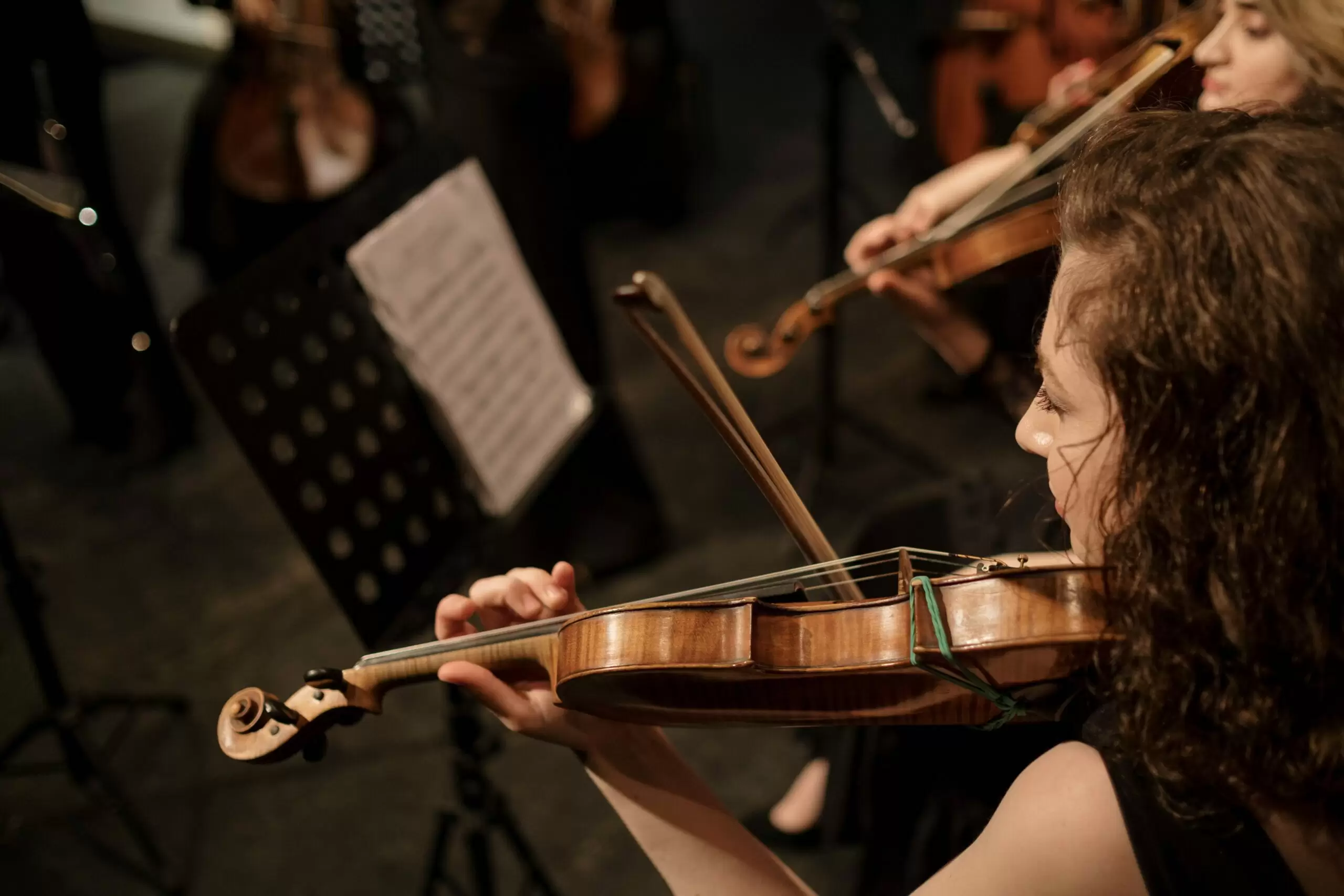 violina