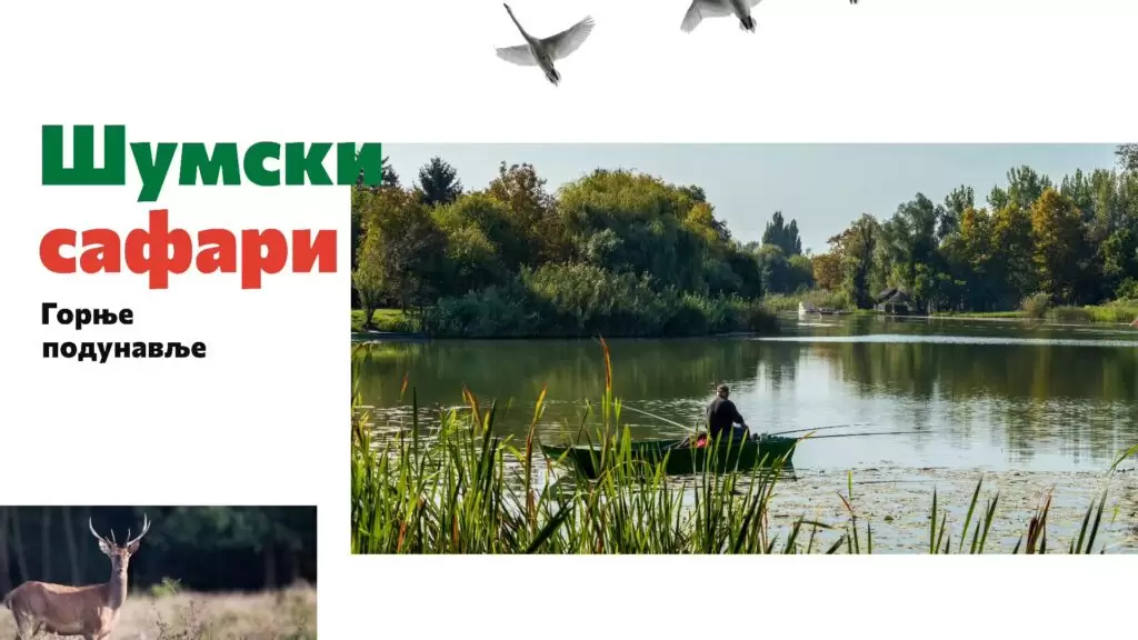 Šumski safari - Srcem kroz ravnicu