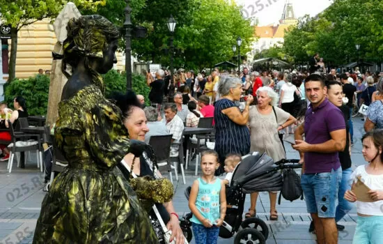 &quot;Veče uličnih svirača&quot; - posetioci